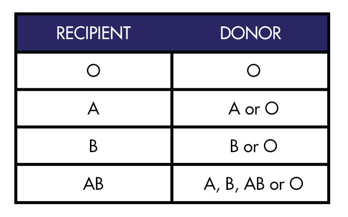 kidney blood type matching chart